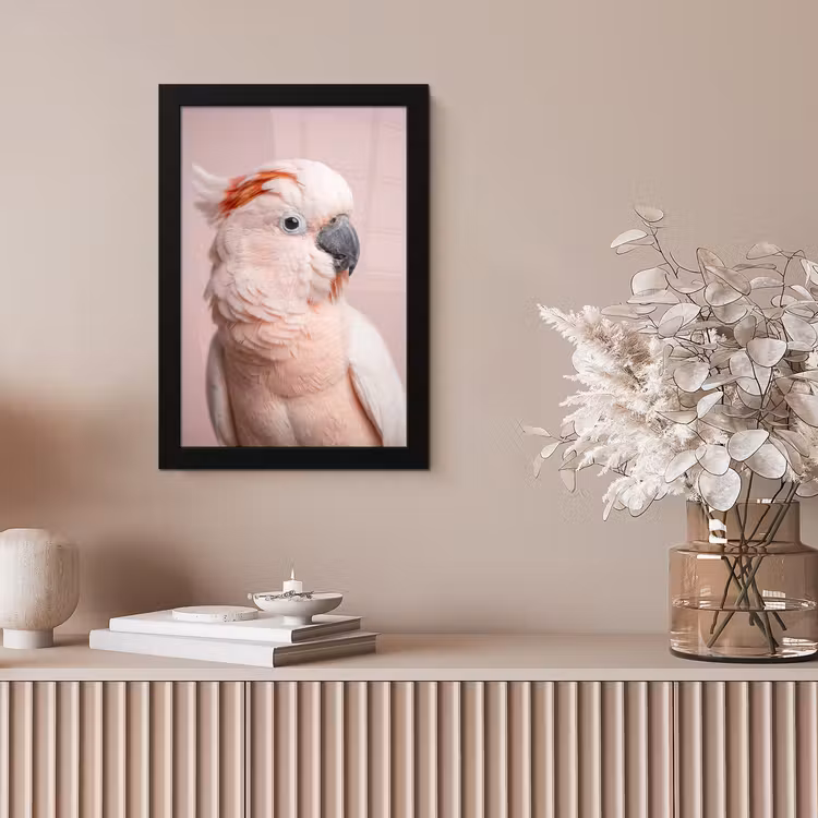 Kaketoe - Portret - Roze fotolijst zwart zonder passe partout klein -sfeer5
