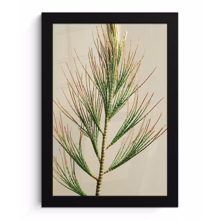 Dennentak - Naaldvormige bladeren - Lichtgroen fotolijst zwart zonder passe partout klein -3d