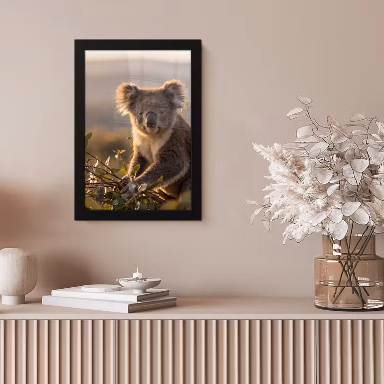 Koala - Bladeren - Ochtendlicht fotolijst zwart zonder passe partout klein -sfeer5
