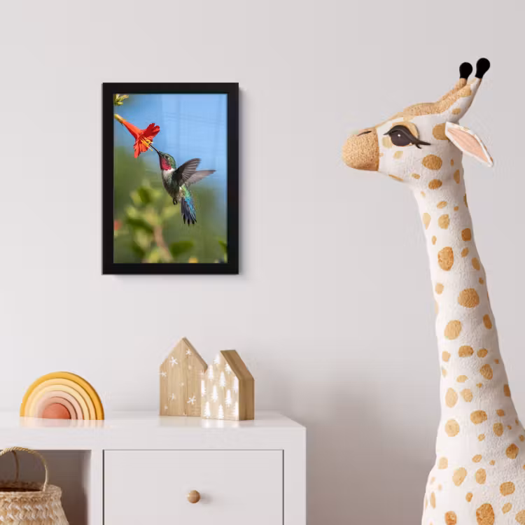 Kolibrie - Bloem - Natuur - Groen fotolijst zwart zonder passe partout klein -usfeer4_kinderkamer