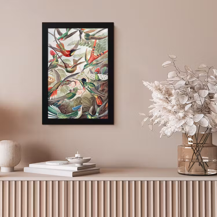 Kolibrie - Vintage - Ernst Haeckel - Vogel - Kunst - Natuur fotolijst zwart zonder passe partout klein -sfeer5