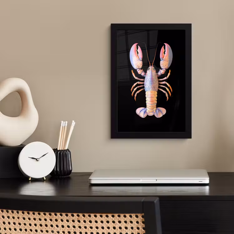 Kreeft - Roze - Zacht - Zwart fotolijst zwart zonder passe partout klein -sfeer1