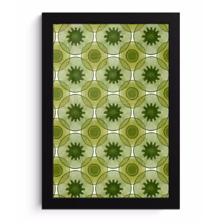 Cirkels - Patroon - Groen fotolijst zwart zonder passe partout klein 224 -3d