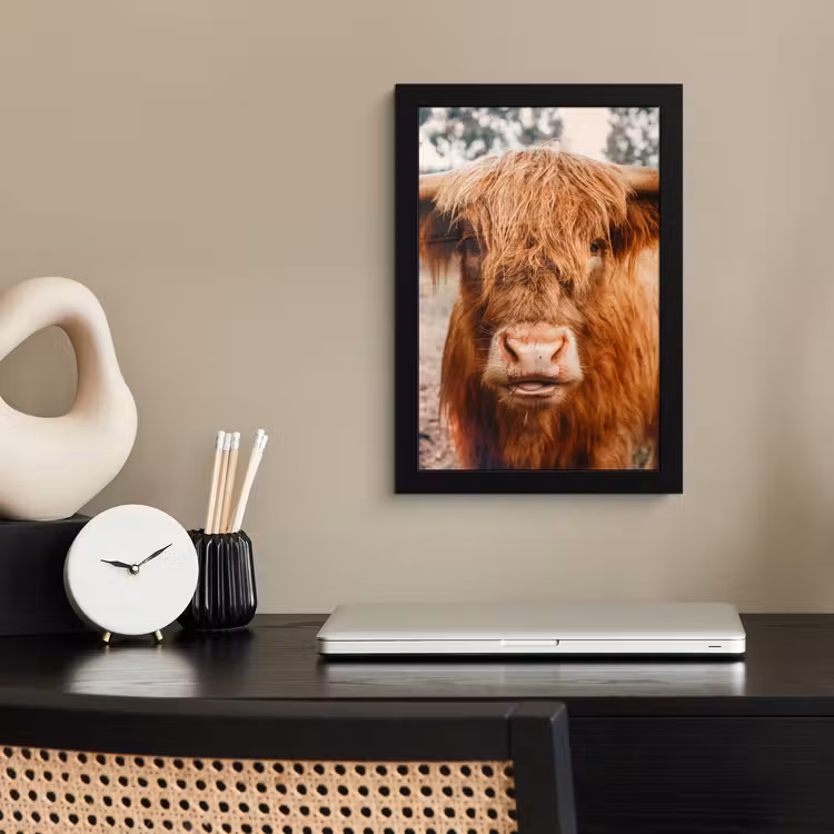 Koe- Schotse hooglander - Hoorns - Bruin - Landschap fotolijst zwart zonder passe partout klein -sfeer1