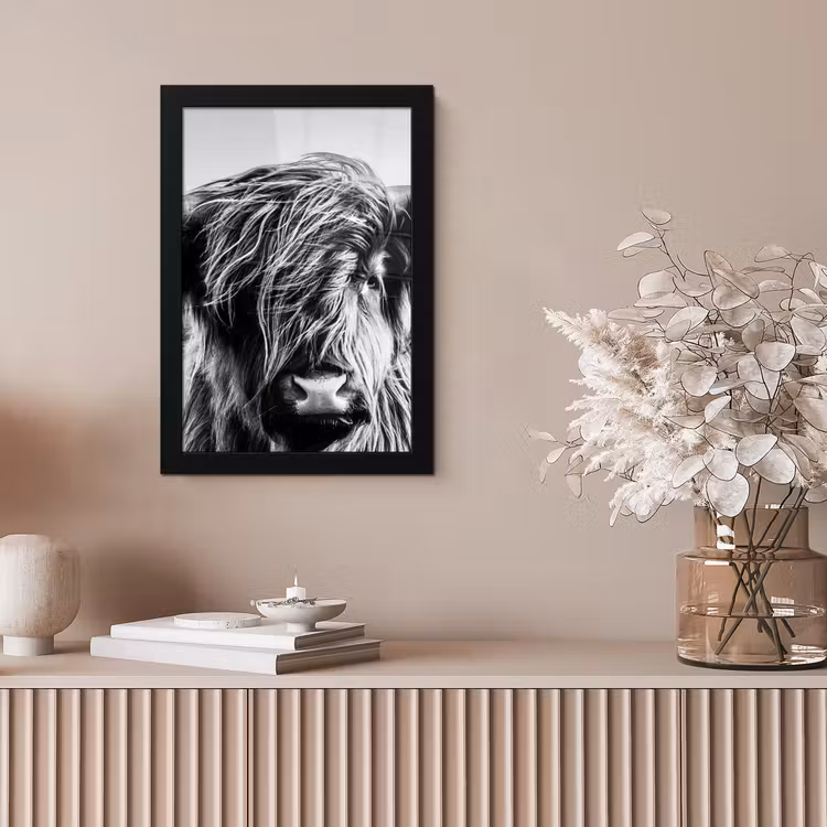 Koe - Schotse hooglander - Zwart - Wit - Dier - Natuur - Wild fotolijst zwart zonder passe partout klein -sfeer5