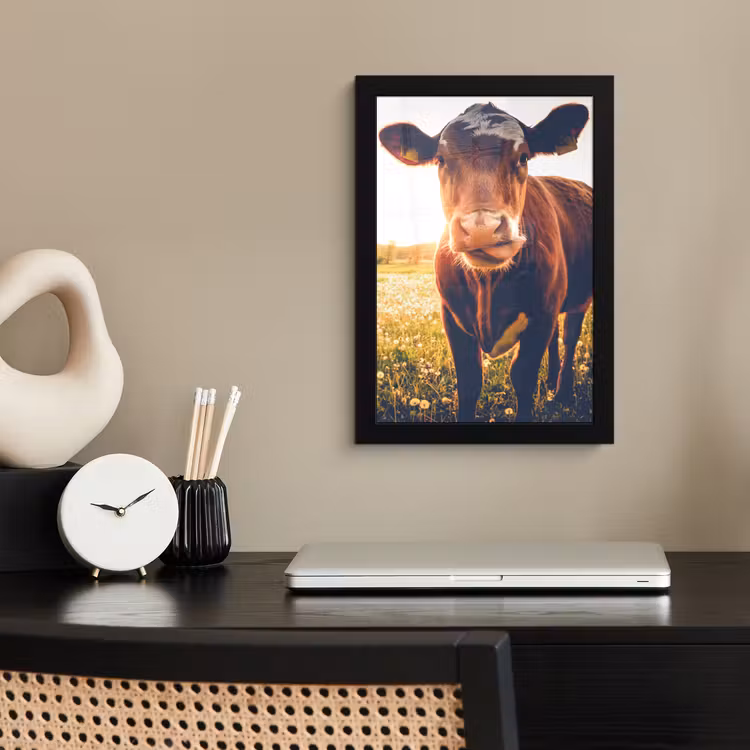 Koe - Zonsondergang - Bloemen - Gras - Dieren fotolijst zwart zonder passe partout klein -sfeer1