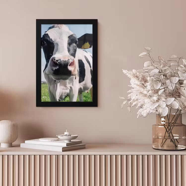 Koe - Weiland - Natuur - Dieren - Gras fotolijst zwart zonder passe partout klein -sfeer5