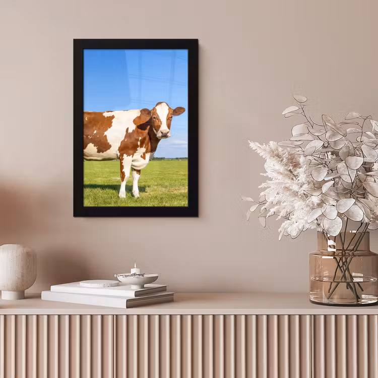 Koeien - Boerderij - Gras- Natuur - Dieren fotolijst zwart zonder passe partout klein -sfeer5