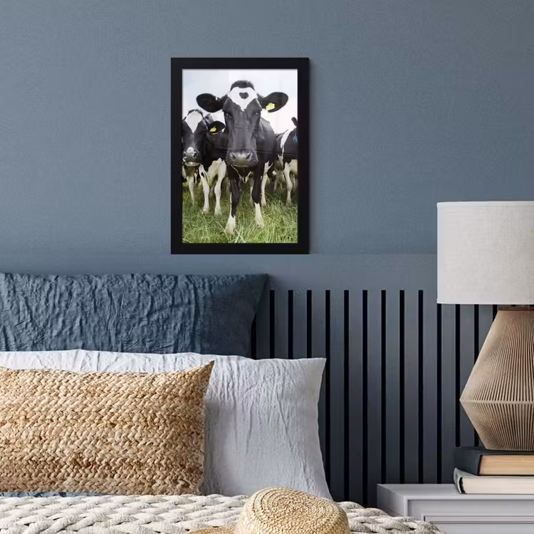 Koeien - Gras - Lente - Dieren - Weiland - Boerderij fotolijst zwart zonder passe partout klein -sfeer3