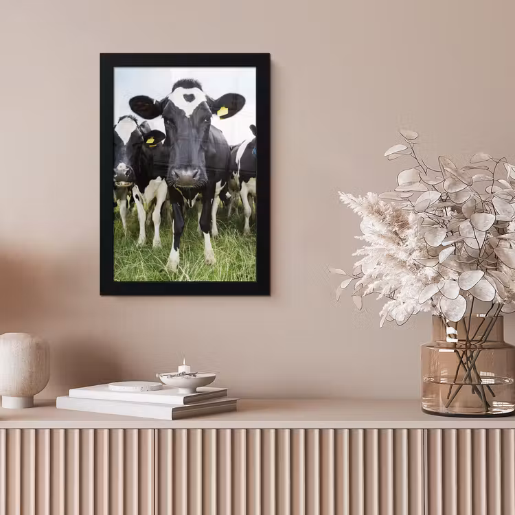 Koeien - Gras - Lente - Dieren - Weiland - Boerderij fotolijst zwart zonder passe partout klein -sfeer5