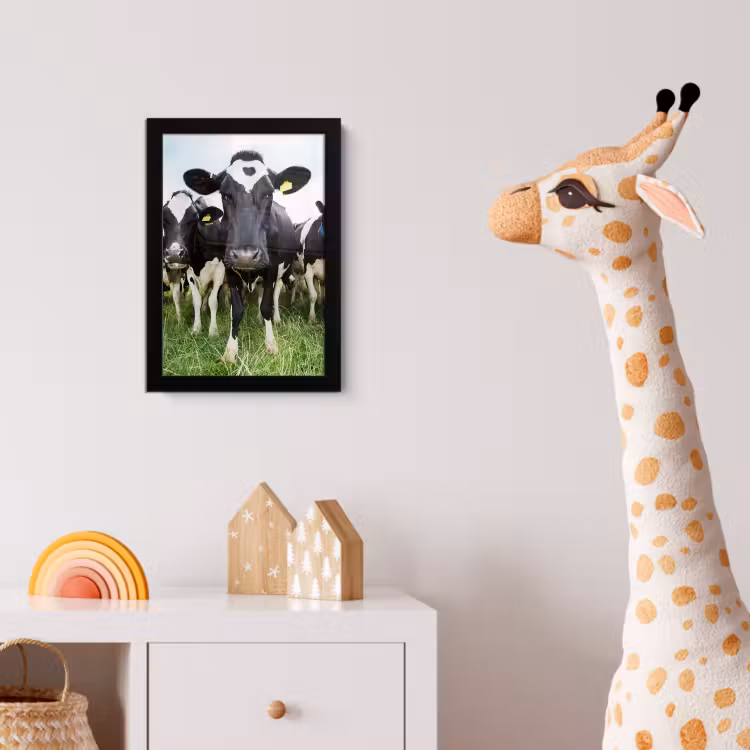 Koeien - Gras - Lente - Dieren - Weiland - Boerderij fotolijst zwart zonder passe partout klein -usfeer4_kinderkamer
