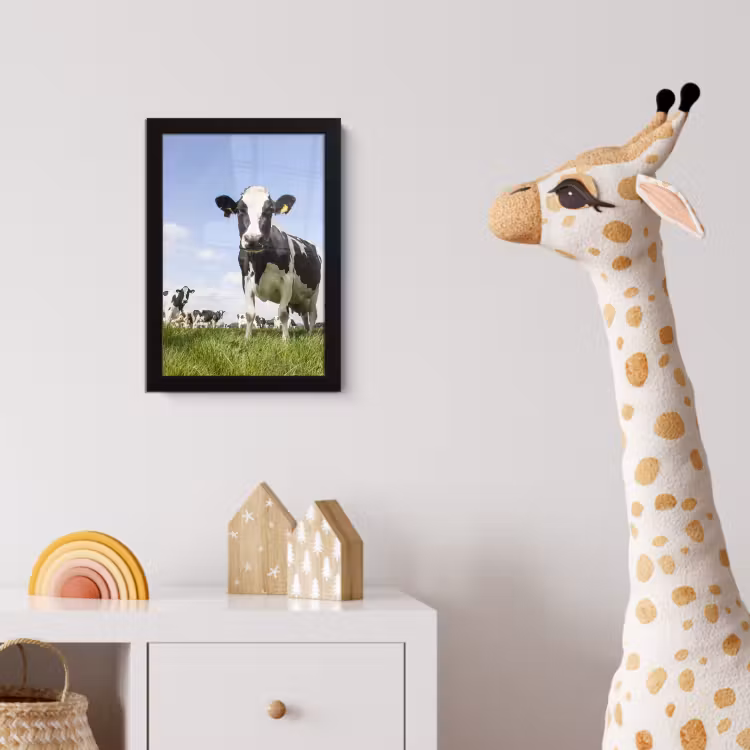 Koeien - Gras - Dieren - Zon - Boerderij fotolijst zwart zonder passe partout klein -usfeer4_kinderkamer