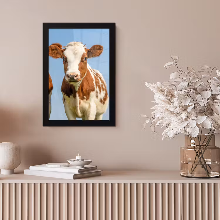 Koeien - Lucht - Dieren - Boerderij - Portret fotolijst zwart zonder passe partout klein -sfeer5