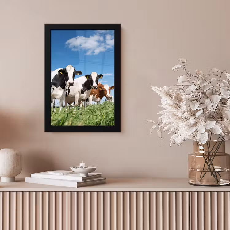 Koeien - Platteland - Weiland - Natuur - Dieren fotolijst zwart zonder passe partout klein -sfeer5