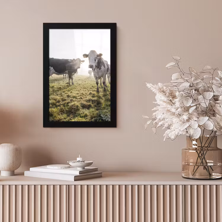 Koeien - Licht - Gras - Dieren fotolijst zwart zonder passe partout klein -sfeer5