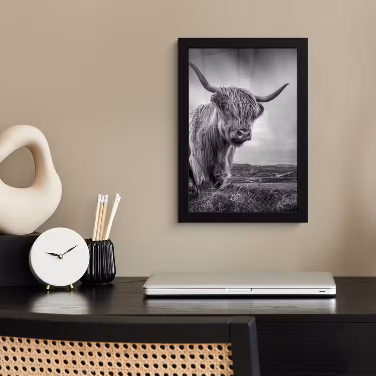Koeien - Schotse hooglander - Natuur - Dieren - Zwart wit fotolijst zwart zonder passe partout klein -sfeer1