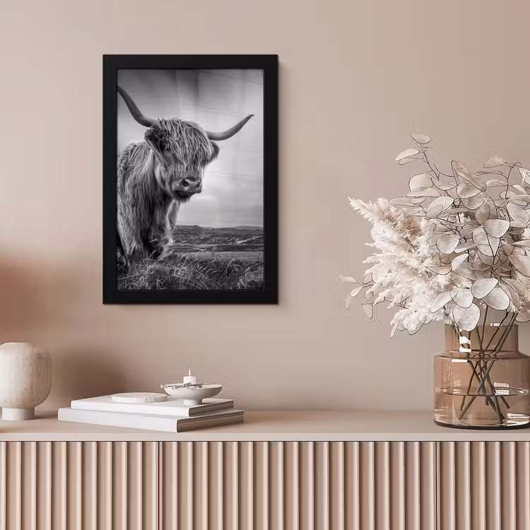 Koeien - Schotse hooglander - Natuur - Dieren - Zwart wit fotolijst zwart zonder passe partout klein -sfeer5