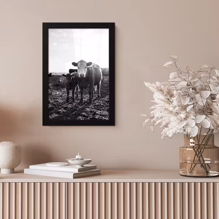 Koeien - Zwart - Wit fotolijst zwart zonder passe partout klein -sfeer5