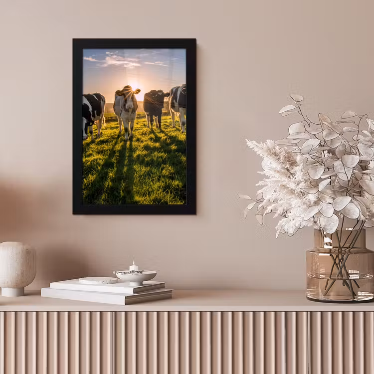 Koeien - Zon - Gras - Dieren - Boerderij fotolijst zwart zonder passe partout klein -sfeer5