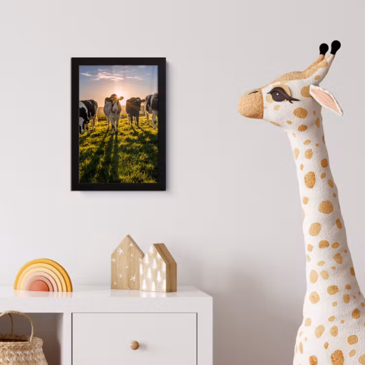 Koeien - Zon - Gras - Dieren - Boerderij fotolijst zwart zonder passe partout klein -usfeer4_kinderkamer