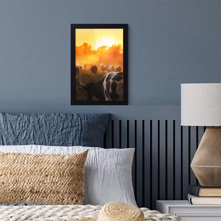 Koeien - Zonsondergang - Weiland - Dieren fotolijst zwart zonder passe partout klein -sfeer3
