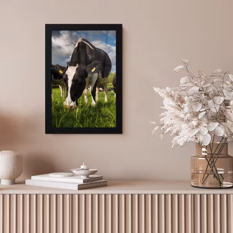 Koeien - Dieren - Gras - Weiland - Boerderij fotolijst zwart zonder passe partout klein -sfeer5