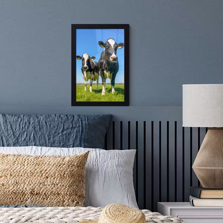 Koeien - Weiland - Gras - Dieren - Boerderij fotolijst zwart zonder passe partout klein -sfeer3