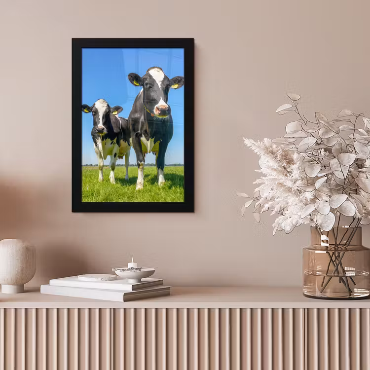 Koeien - Weiland - Gras - Dieren - Boerderij fotolijst zwart zonder passe partout klein -sfeer5