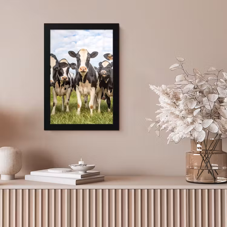Koeien - Weiland - Dieren - Natuur - Gras fotolijst zwart zonder passe partout klein -sfeer5