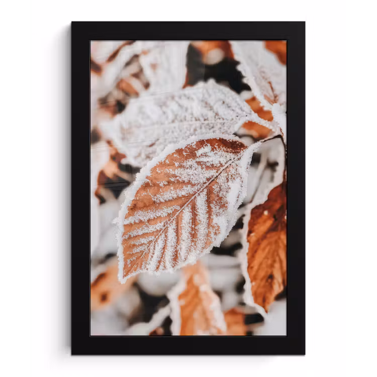 Bladeren - IJs - Winter - Natuur fotolijst zwart zonder passe partout klein -3d
