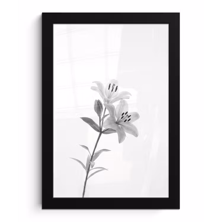 Lelies - Elegant - Zwart - Wit fotolijst zwart zonder passe partout klein -3d