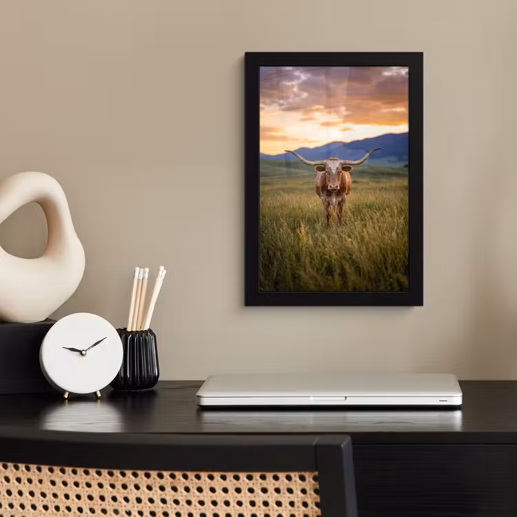 Longhorn - Landschap - Zonsondergang fotolijst zwart zonder passe partout klein -sfeer1