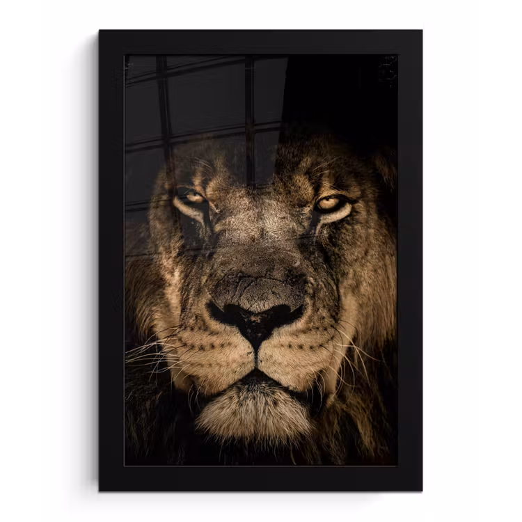 Leeuw - Dieren - Zwart - Portret fotolijst zwart zonder passe partout klein -3d