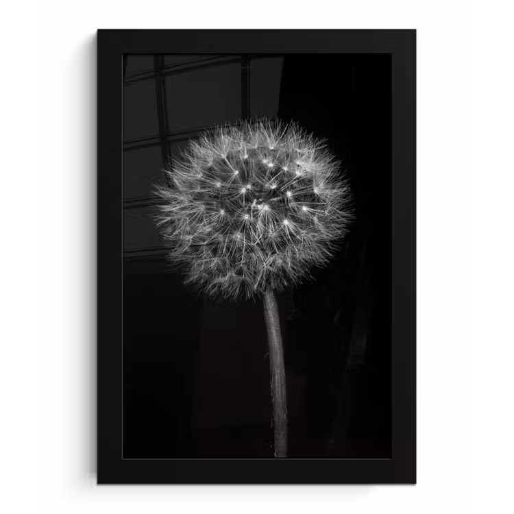 Paardenbloem - Zwart - Bloemen - Botanisch fotolijst zwart zonder passe partout klein -3d
