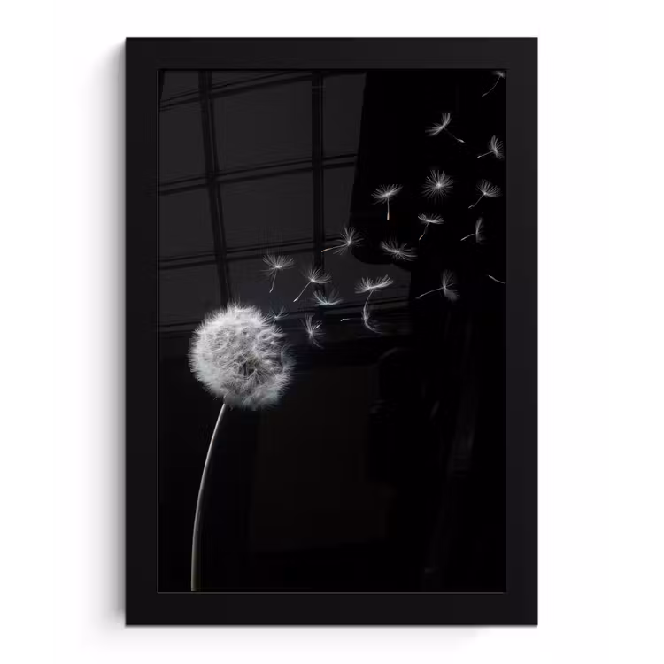 Paardenbloem - Zwart - Natuur fotolijst zwart zonder passe partout klein -3d
