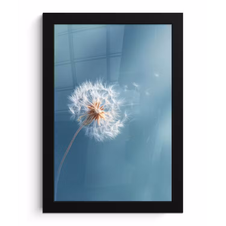 Paardenbloem - Wind - Blauw fotolijst zwart zonder passe partout klein -3d