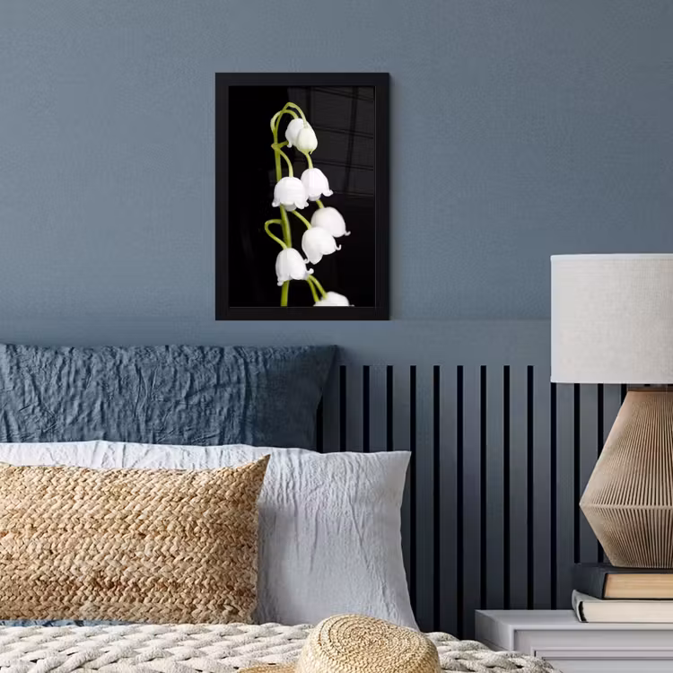 Lelietjes van dalen - Bloemen - Zwart - Flora fotolijst zwart zonder passe partout klein -sfeer3