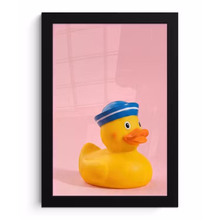 Matroos - Eend - Roze fotolijst zwart zonder passe partout klein -3d