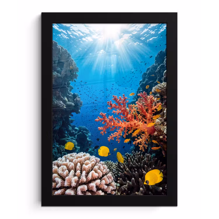 Zee - Koraalrif - Natuur - Levendig - Blauw fotolijst zwart zonder passe partout klein -3d
