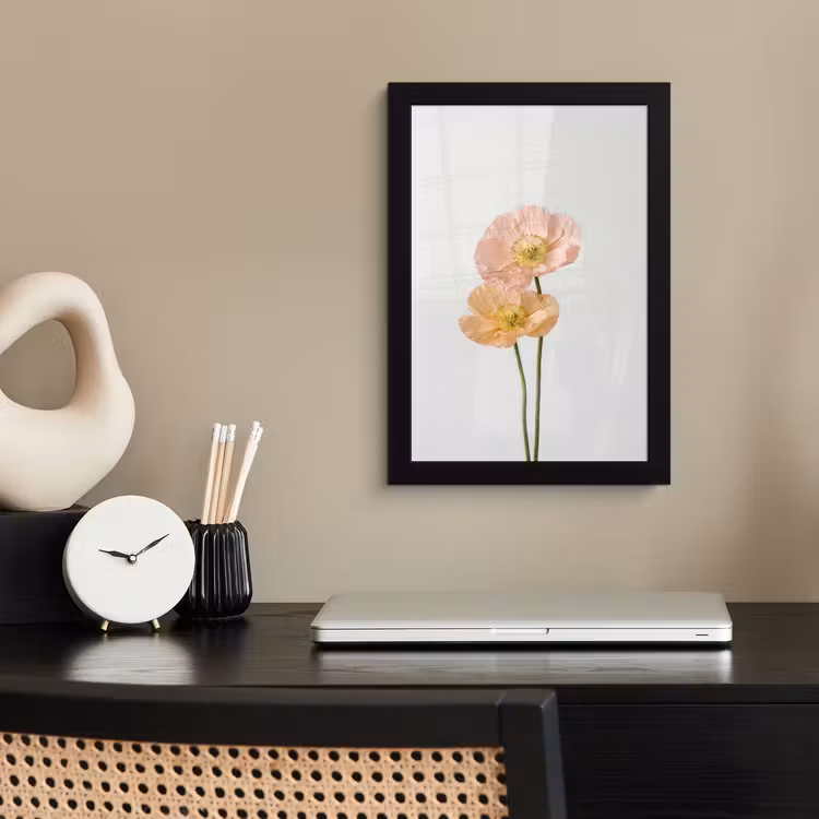 Papavers - Botanisch - Roze fotolijst zwart zonder passe partout klein -sfeer1