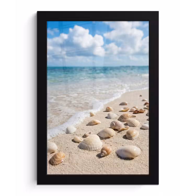 Schelpen - Strand - Natuur - Beige fotolijst zwart zonder passe partout klein -3d