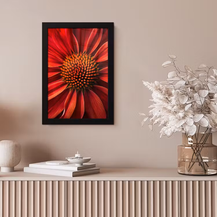 Close up - Bloem- Rood fotolijst zwart zonder passe partout klein -sfeer5