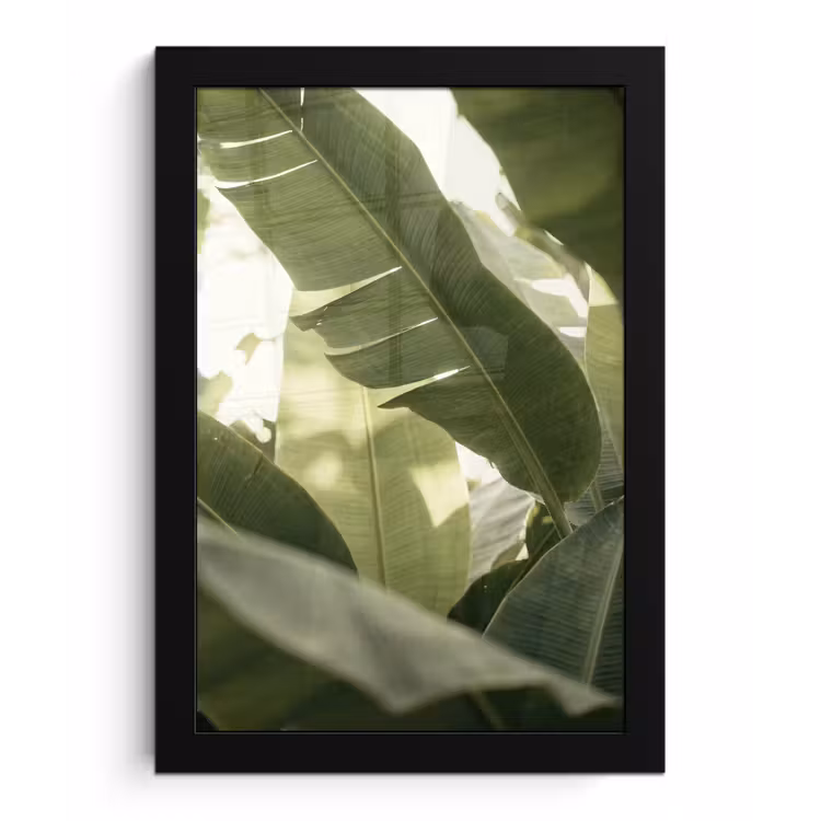 Natuur - Bladeren - Groen - Tropisch - Detail fotolijst zwart zonder passe partout klein -3d