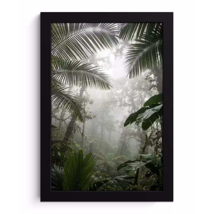 Natuur - Jungle - Mist - Groen - Bladeren fotolijst zwart zonder passe partout klein -3d