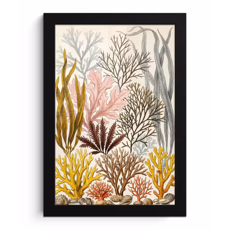 Natuur - Onderwater - Botanisch - Vintage - Kleurrijk fotolijst zwart zonder passe partout klein -3d