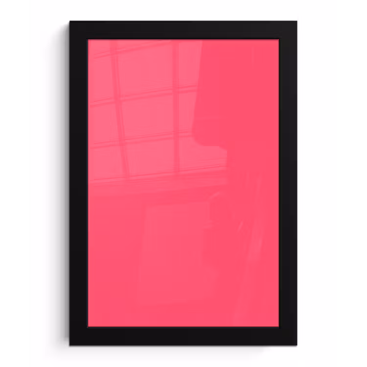 Neon - Flamingo - Roze fotolijst zwart zonder passe partout klein 224 -3d