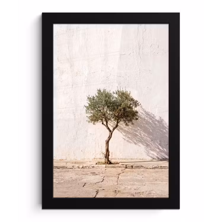 Bilder mit Rahmen - Olivenbaum – Wand – weiß - Olijfboom - muur - wit fotolijst zwart zonder passe partout klein