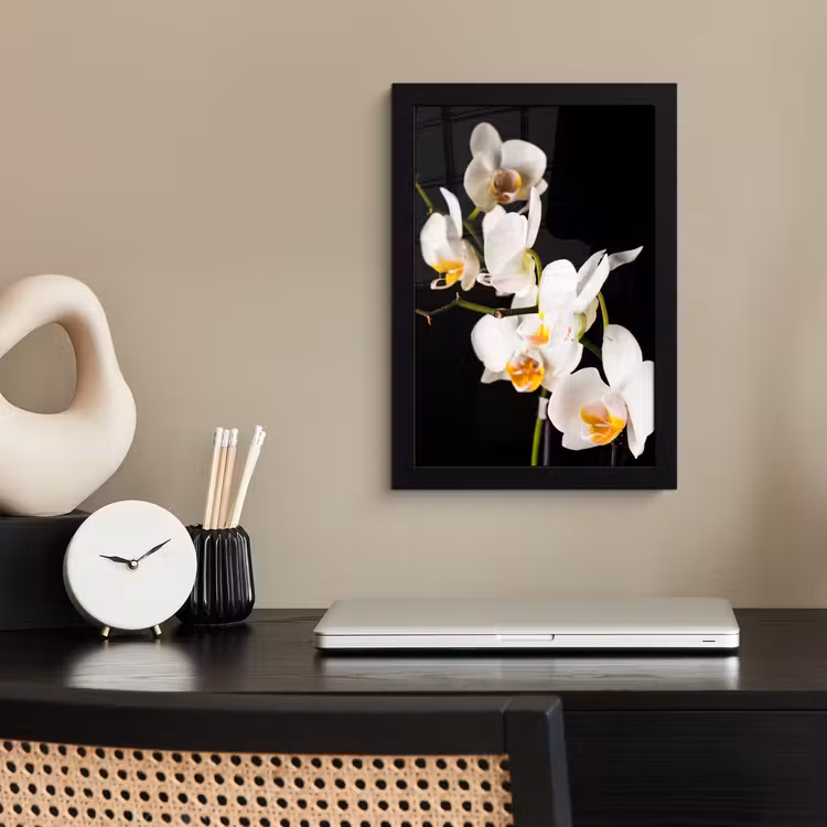 Orchidee - Bloemen - Planten - Botanisch fotolijst zwart zonder passe partout klein -sfeer1