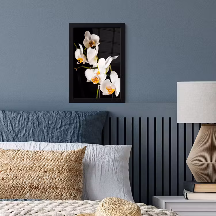 Orchidee - Bloemen - Planten - Botanisch fotolijst zwart zonder passe partout klein -sfeer3