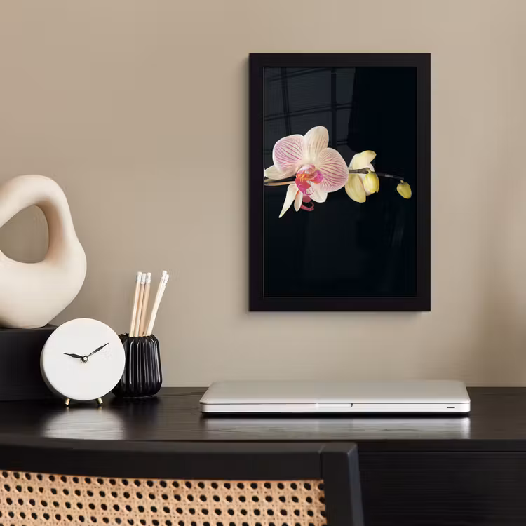 Orchidee - Bloemen - Zwart - Roze - Knoppen fotolijst zwart zonder passe partout klein -sfeer1